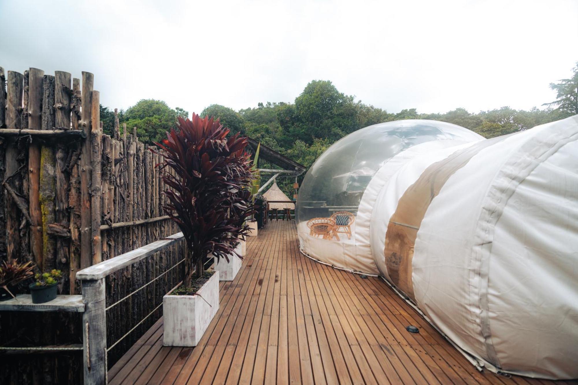 Hotel Bubblesky Glamping 15 Min From Medellin Rionegro Exterior foto